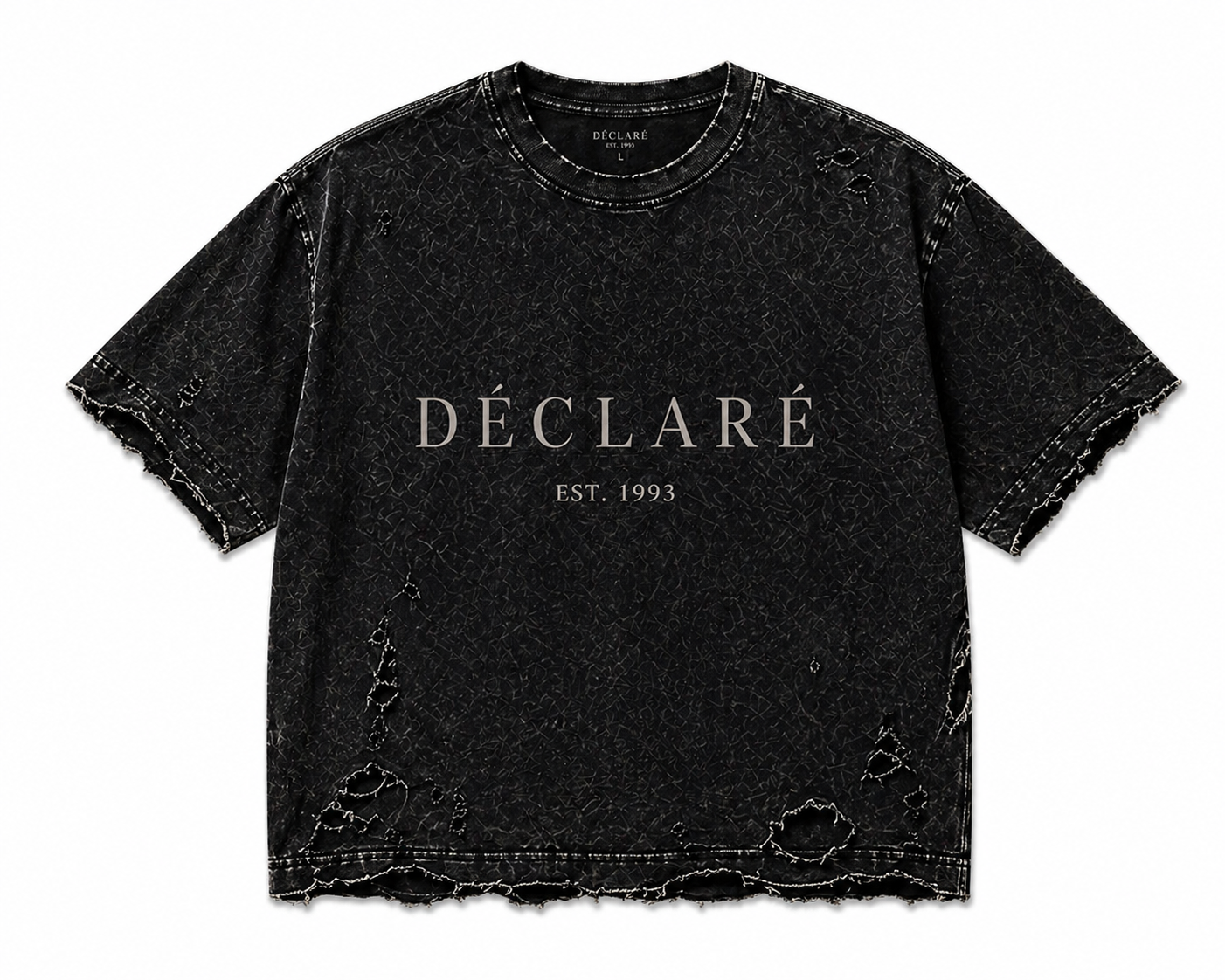 DECLARE WASHED TEE
