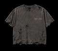 DECLARE STATEMENT — Distressed Tee